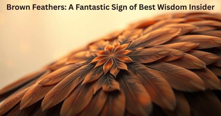 Brown Feathers: A Fantastic Sign of Best Wisdom Insider