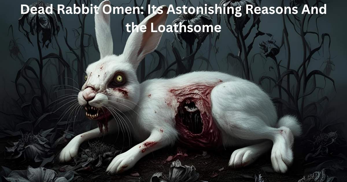 Dead Rabbit Omen: Its Astonishing Reasons And the Loathsome