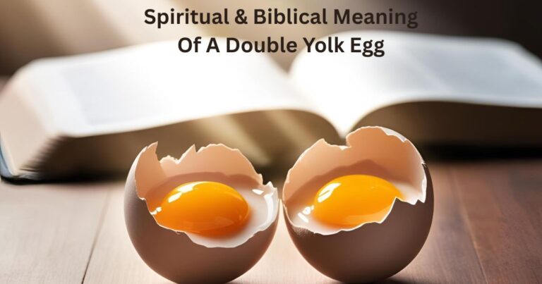 "A symbolic and serene still-life image of a cracked egg revealing two bright yolks in a glowing light, placed gently on a wooden table. Include soft, ethereal lighting to convey spirituality. In the background, subtly blend in a faint open Bible and rays of sunlight, suggesting divine symbolism, blessings, and spiritual messages."