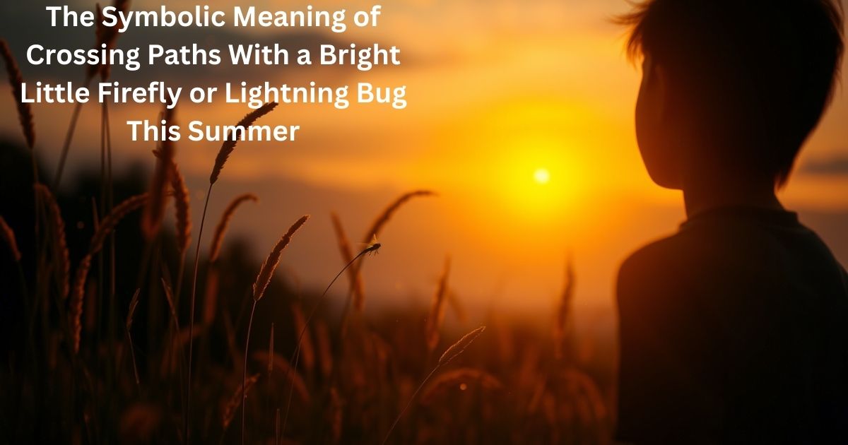 The Symbolic Meaning of Crossing Paths With a Bright Little Firefly or Lightning Bug This Summer