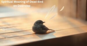 Spiritual Meaning of Dead Bird on Doorstep