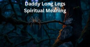 Daddy Long Legs Spiritual Meaning