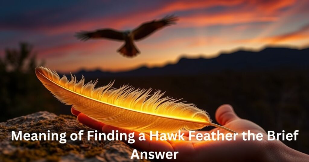 Meaning of Finding a Hawk Feather the Brief Answer
