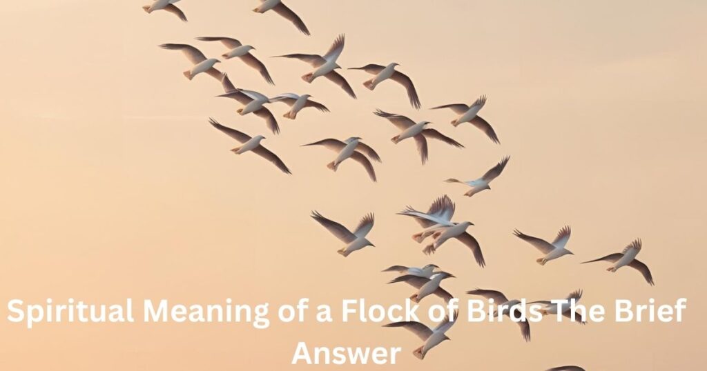 Spiritual Meaning of a Flock of Birds  The Brief Answer