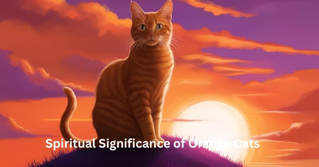 Spiritual Significance of Orange Cats