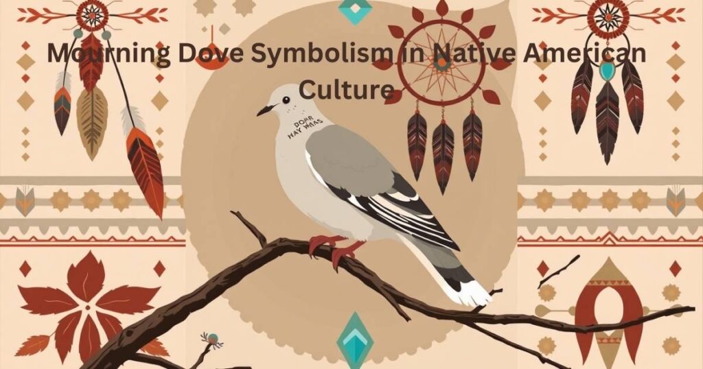 Mourning Dove Symbolism in Native American Culture