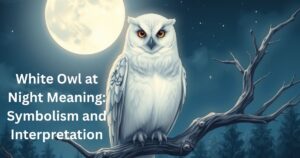 White Owl at Night Meaning: Symbolism and Interpretation