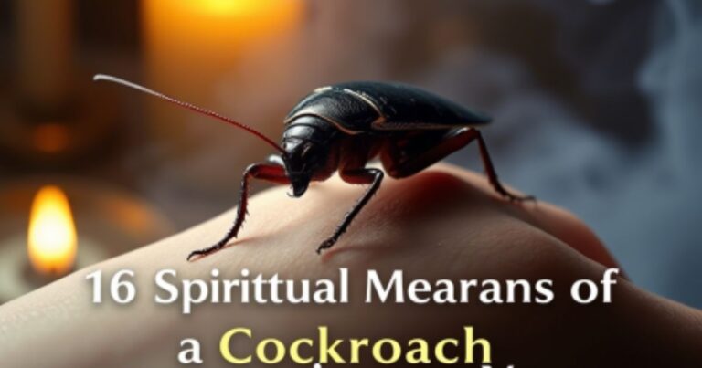 16 Spiritual Meanings Of A Cockroach Crawling On You