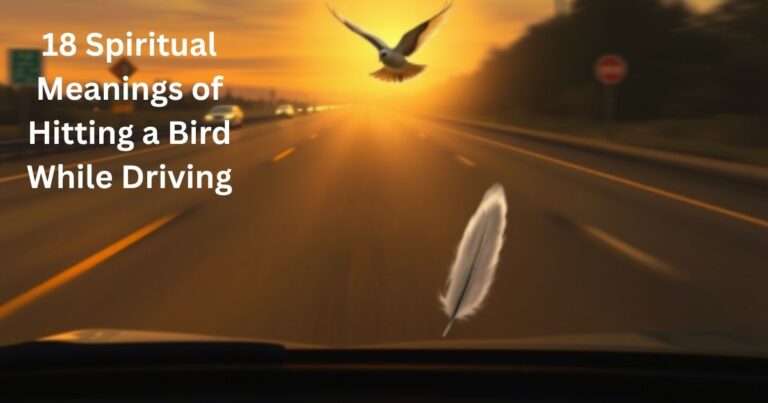 Spiritual Meanings of Hitting a Bird While Driving