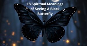 Spiritual Meanings of Seeing A Black Butterfly
