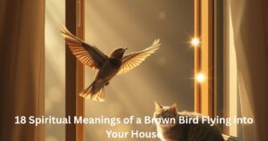 Spiritual Meanings of a Brown Bird Flying into Your House