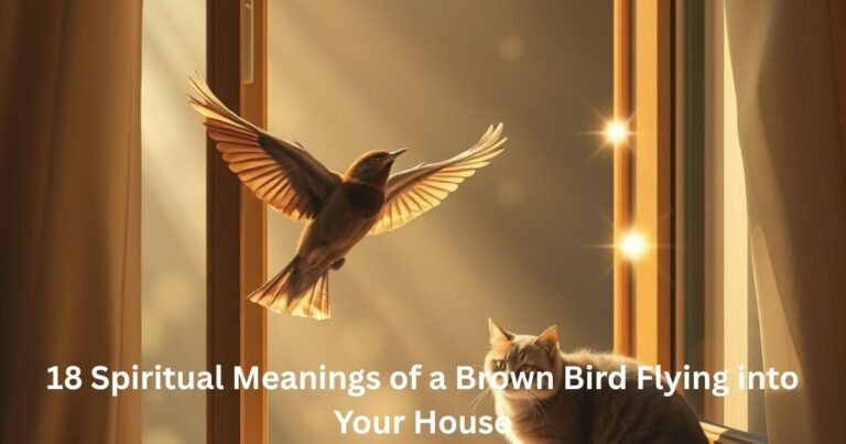 Spiritual Meanings of a Brown Bird Flying into Your House
