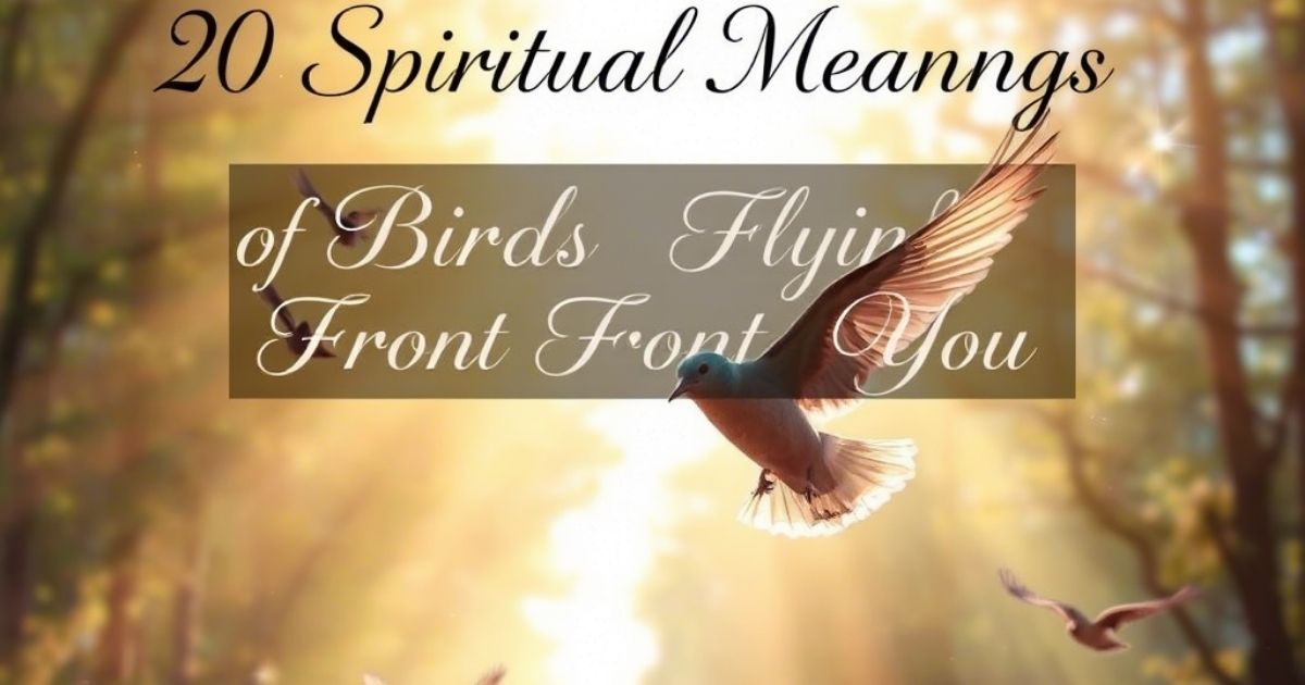 Spiritual Meanings of Birds Flying in Front of You