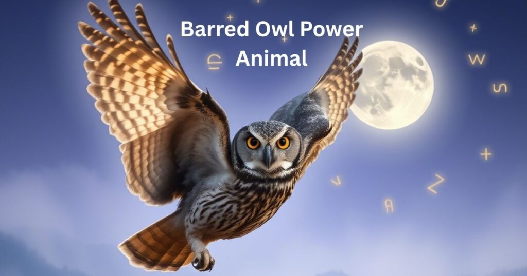 Barred Owl Power Animal