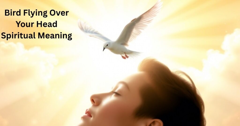 Bird Flying Over Your Head Spiritual Meaning