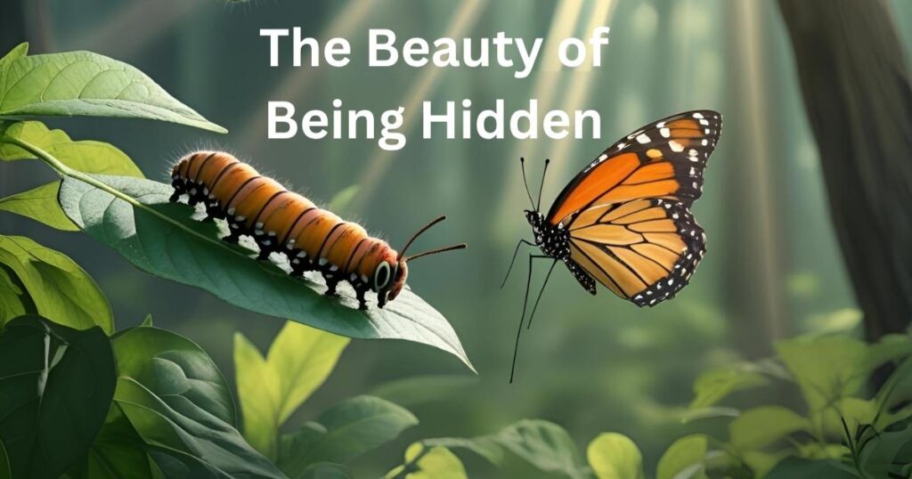 The Beauty of Being Hidden