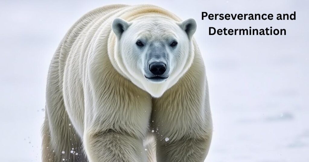 Perseverance and Determination