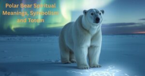 Polar Bear Spiritual Meanings, Symbolism and Totem