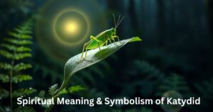Spiritual Meaning & Symbolism of Katydid