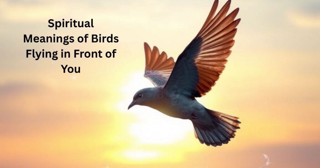 Spiritual Meanings of Birds Flying in Front of You