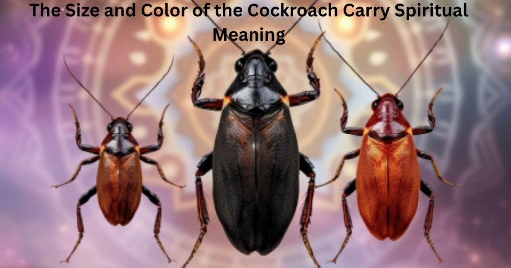 The Size and Color of the Cockroach Carry Spiritual Meaning