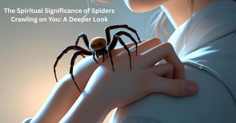 The Spiritual Significance of Spiders Crawling on You: A Deeper Look