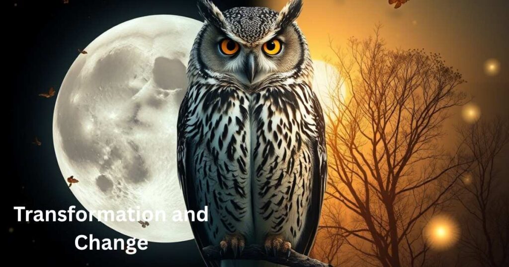 Transformation and Change