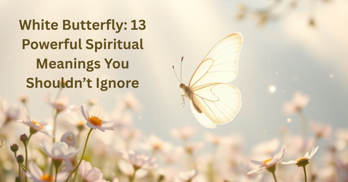 White Butterfly: 13 Powerful Spiritual Meanings You Shouldn’t Ignore