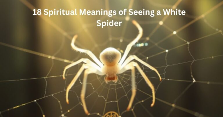 Spiritual Meanings of Seeing a White Spider