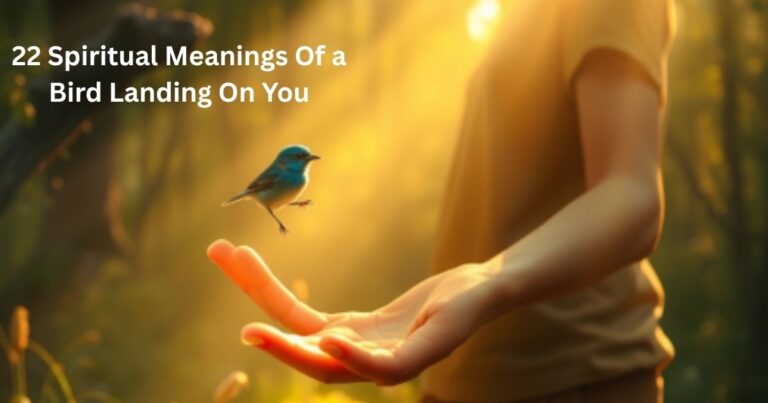 Spiritual Meanings Of a Bird Landing On You