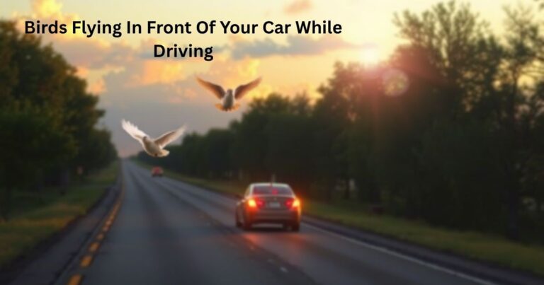 Birds Flying In Front Of Your Car While Driving