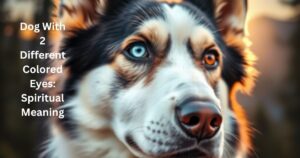 Dog With 2 Different Colored Eyes: Spiritual Meaning