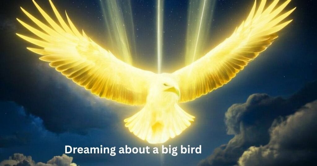 Dreaming about a big bird
