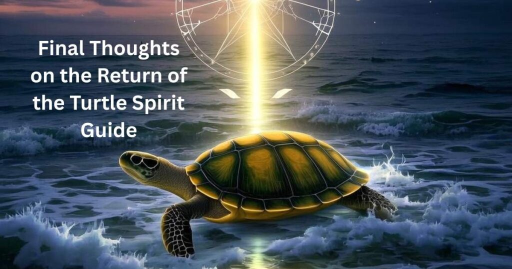 Final Thoughts on the Return of the Turtle Spirit Guide