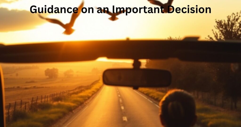 Guidance on an Important Decision