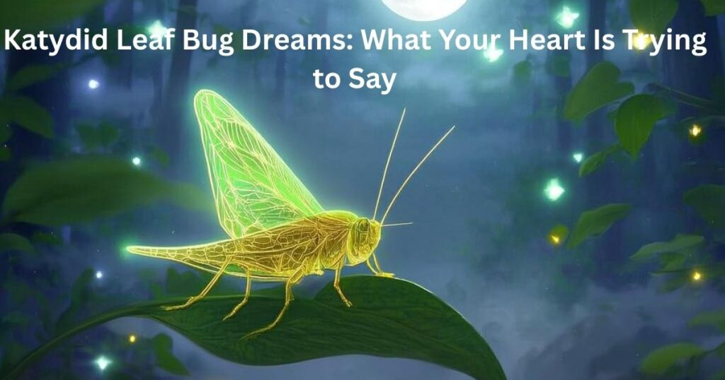 Katydid Leaf Bug Dreams: What Your Heart Is Trying to Say