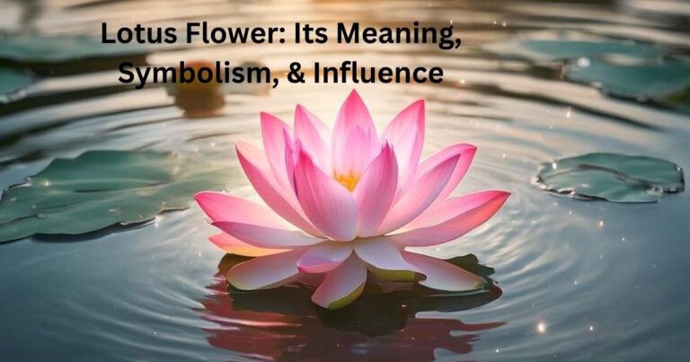 Lotus Flower: Its Meaning, Symbolism, & Influence