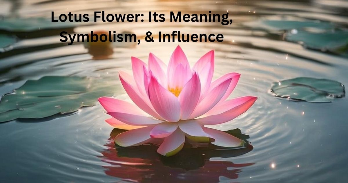 Lotus Flower: Its Meaning, Symbolism, & Influence