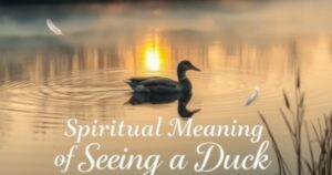 Spiritual Meaning of Seeing a Duck: Messages and Interpretations