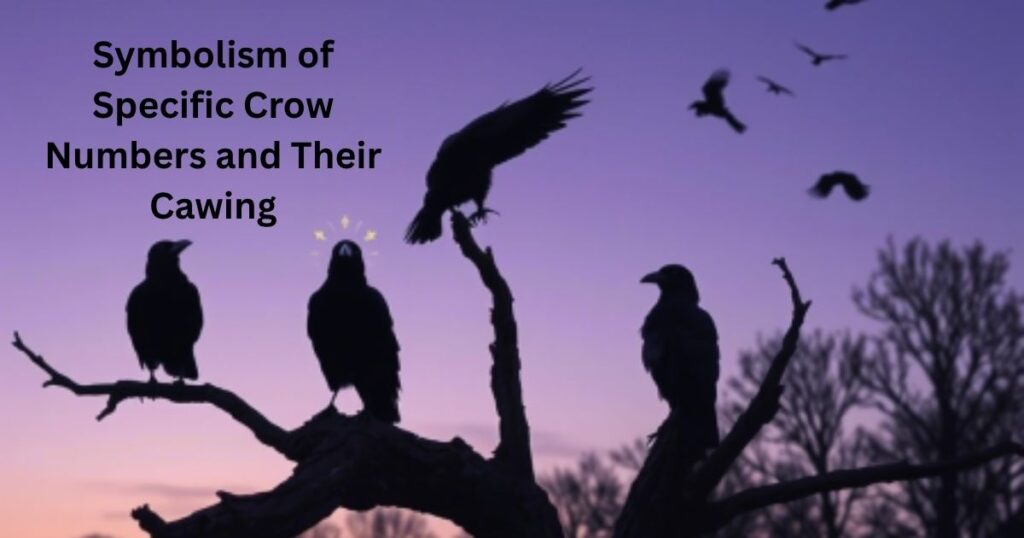 Symbolism of Specific Crow Numbers and Their Cawing