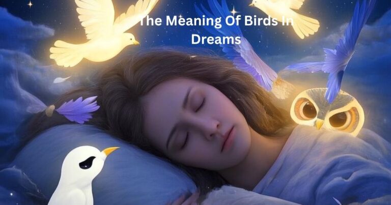 The Meaning Of Birds In Dreams