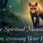 The Spiritual Meaning of Fox Crossing Your Path Revealed
