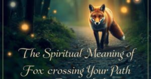 The Spiritual Meaning of Fox Crossing Your Path Revealed