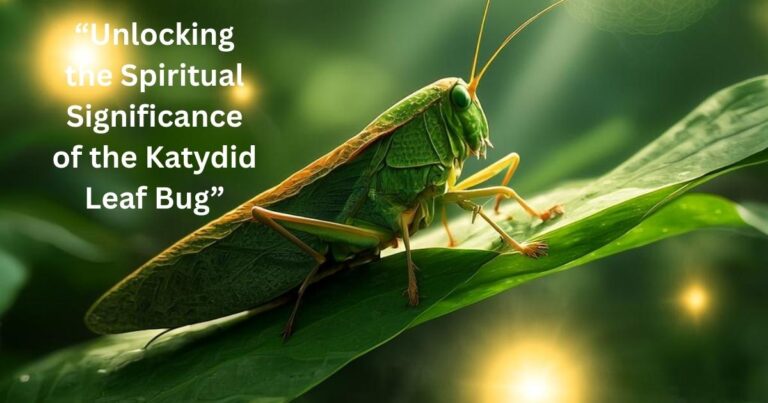 “Unlocking the Spiritual Significance of the Katydid Leaf Bug”