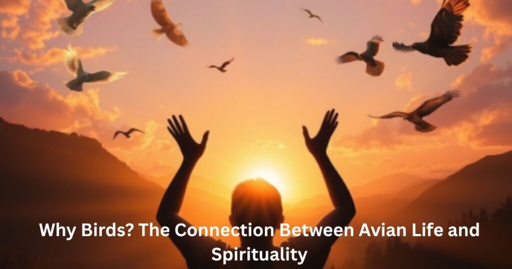 Why Birds? The Connection Between Avian Life and Spirituality