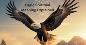 Eagle Spiritual Meaning Explained
