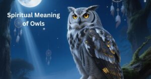 Spiritual Meaning of Owls