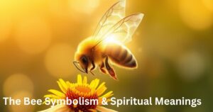 The Bee Symbolism & Spiritual Meanings