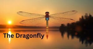 The Dragonfly